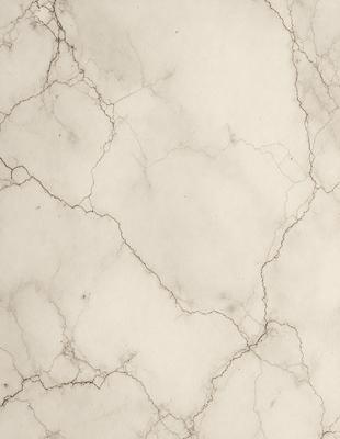 The primary subject of the image is a marble wall with a white and grey color scheme. The setting is a room with a white marble wall as the main focus. The visual style is a close-up of the marble wall, showcasing its texture and pattern. The colors and mood of the image are predominantly white and grey, giving it a clean and elegant appearance.