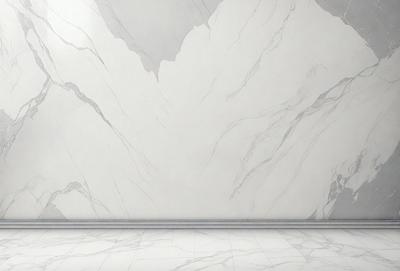 The primary subject of the image is a marble wall with a pattern of white and gray marble. The setting is a room with a white marble floor. The visual style is a photo of the marble wall, showcasing the intricate patterns and textures of the marble. The colors and mood of the image are predominantly white and gray, creating a clean and elegant atmosphere.
