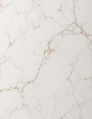 The primary subject of the image is a marble wall with a white and gold color scheme. The setting is a room with a white marble wall, and the visual style is a close-up of the wall. The colors and mood of the image are elegant and sophisticated, with the white marble providing a clean and refined appearance.