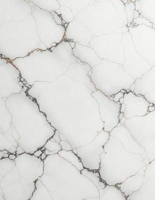 The image features a white marble wall with a pattern of holes and cracks. The wall appears to be textured and has a unique, natural appearance. The primary subject of the image is the marble wall, which serves as the main focus of the scene. The setting is a room with the marble wall as the main background. The visual style of the image is a close-up of the marble wall, showcasing its intricate texture and pattern. The colors and mood of the image are predominantly white,