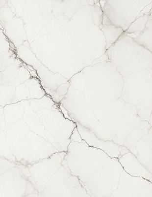 The primary subject of the image is a white marble wall with a cracked texture. The setting is a room with a white marble floor. The visual style is a close-up of the marble wall, showcasing its unique texture. The colors and mood of the image are predominantly white, giving it a clean and elegant appearance.