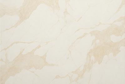 The primary subject of the image is a marble wall with a gold-colored pattern. The setting is a room with a white background, and the visual style is a close-up of the marble wall. The colors and mood of the image are warm and elegant, with the gold pattern adding a touch of luxury to the marble wall.