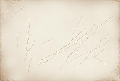 The primary subject of the image is a white background with a series of thin, curved lines or branches. The setting appears to be a white wall or a similar surface. The visual style of the image is a combination of a photo and a drawing, with the lines giving the appearance of a hand-drawn or painted design. The colors in the image are predominantly white, creating a clean and minimalist atmosphere.