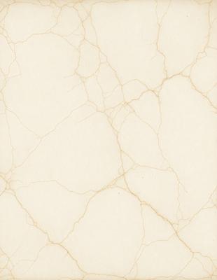 The image features a white marble wall with a textured, peeling appearance. The wall appears to be made of marble, and the peeling texture adds a unique and interesting visual element to the scene. The overall atmosphere of the image is somewhat moody, with the peeling marble wall creating a sense of age or wear.