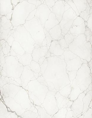 The image features a white marble wall with a rough texture. The wall appears to be a part of a building, possibly a bathroom or a kitchen. The marble wall is the primary subject of the image, and it is the setting where the photo was taken. The visual style of the image is a close-up of the marble wall, showcasing its texture and details. The colors in the image are predominantly white, giving the wall a clean and elegant appearance.