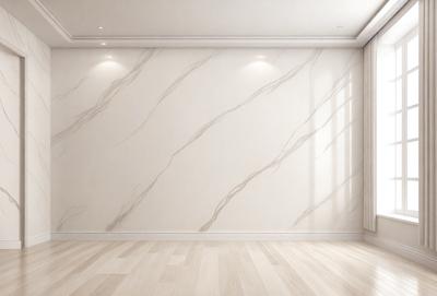 The primary subject of the image is a white wall with a marble-like texture. The setting is a room with a white floor, and the visual style is a photo. The colors and mood of the image are predominantly white, giving it a clean and minimalist appearance.