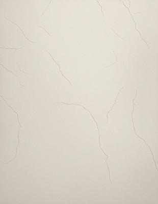 The primary subject of the image is a white wall with a pattern of cracks and crevices. The setting is a room with a white background. The visual style is a close-up of the wall, showcasing the intricate details of the cracks. The colors and mood of the image are predominantly white, giving it a clean and minimalist appearance.