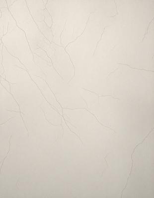 The primary subject of the image is a white wall with a pattern of cracks and crevices. The setting is a room with a white background. The visual style is a close-up of the wall, showcasing the intricate details of the cracks. The colors and mood of the image are predominantly white, giving it a clean and minimalist appearance.