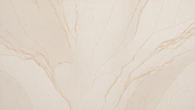 The primary subject of the image is a white marble wall with a pattern of swirls and lines. The setting is a room with a white background, and the visual style is a close-up of the marble wall. The colors and mood of the image are predominantly white, giving it a clean and elegant appearance.