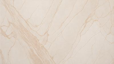 The primary subject of the image is a marble tile with a brown and white color scheme. The setting is a wall, and the visual style is a close-up of the tile. The colors and mood of the image are warm and natural, with the brown and white tones creating a sense of elegance and sophistication.