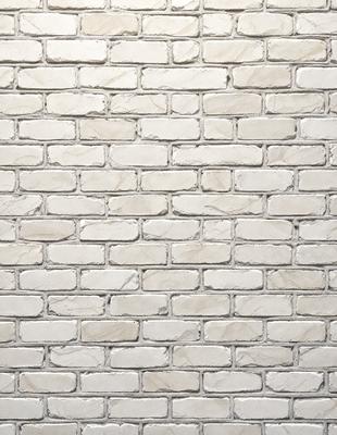 The primary subject of the image is a white brick wall. The setting is a plain white wall, and the visual style is a photo. The colors and mood of the image are predominantly white, giving it a clean and minimalist appearance.