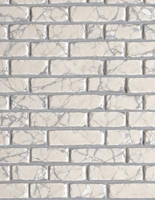 The primary subject of the image is a marble brick wall. The setting is a white brick wall, which serves as the background. The visual style is a photo, capturing the details of the marble brick wall. The colors and mood of the image are predominantly white, giving it a clean and elegant appearance.
