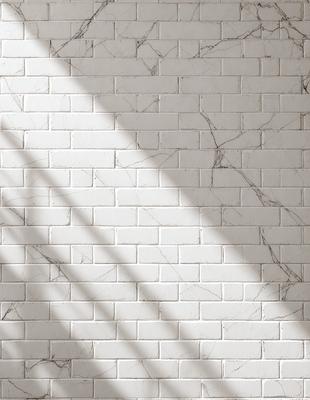 The primary subject of the image is a white brick wall. The setting is a white brick wall with a shadow cast on it. The visual style is a photo of a brick wall. The colors and mood of the image are predominantly white, giving it a clean and minimalist appearance.