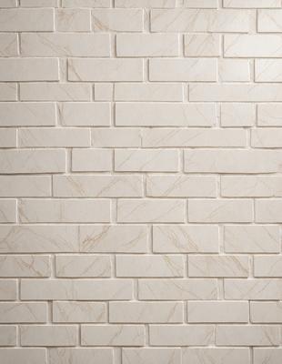 The primary subject of the image is a white brick wall. The setting is a plain white wall, and the visual style is a photo. The colors and mood of the image are predominantly white, giving it a clean and minimalist appearance.