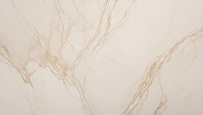 The primary subject of the image is a marble wall with a pattern of branches and veins. The setting is a room with a white background, which highlights the intricate design of the marble. The visual style is a close-up of the marble wall, showcasing the details of the branch and vein pattern. The colors and mood of the image are predominantly white, giving it a clean and elegant appearance.