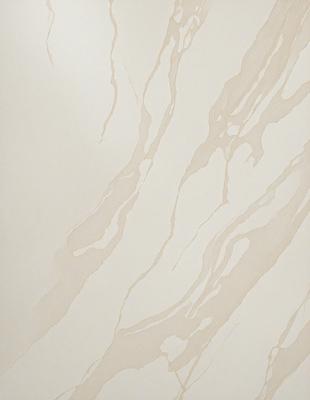 The primary subject of the image is a white marble wall with a pattern of swirls and stripes. The setting is a room with a white marble floor, which complements the wall. The visual style is a combination of a photo and a drawing, creating a unique and artistic representation of the marble wall. The colors and mood of the image are predominantly white, giving it a clean and elegant appearance.