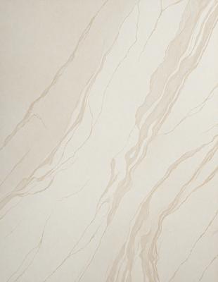 The image features a white marble wall with a pattern of swirls and waves. The wall appears to be made of marble tiles, giving it a luxurious and elegant appearance. The overall atmosphere of the image is clean and sophisticated, with the white marble tiles creating a sense of simplicity and elegance.