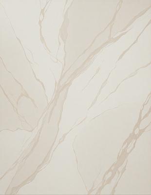 The primary subject of the image is a white marble wall with a pattern of swirls and lines. The setting is a room with a white marble floor, which complements the wall. The visual style is a close-up of the marble wall, showcasing its intricate design. The colors and mood of the image are predominantly white, giving it a clean and elegant appearance.