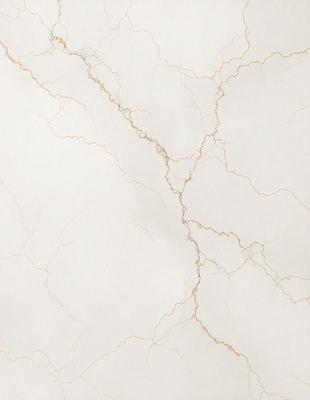 The image features a white marble wall with a gold-like texture. The wall appears to be cracked, giving it a unique and interesting appearance. The primary subject of the image is the marble wall, which serves as the main focus of the scene. The setting is indoors, likely in a room or a building with a similar design. The visual style of the image is a combination of photo and digital art, creating a realistic yet artistic representation of the marble wall. The colors and mood of the image are