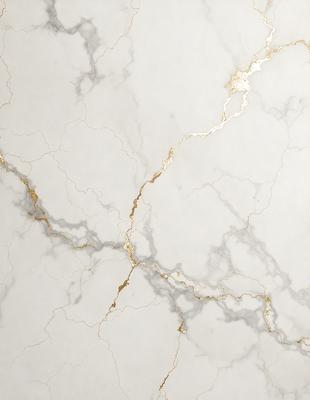 The primary subject of the image is a marble wall with a gold-colored design. The setting is a room with a white marble surface. The visual style is a close-up of the marble wall, showcasing the gold design. The colors and mood of the image are predominantly white and gold, giving it a luxurious and elegant appearance.