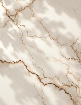 The primary subject of the image is a marble wall with a cracked and textured surface. The setting is a room with a white background. The visual style is a photo of the marble wall, showcasing its unique texture and appearance. The colors and mood of the image are predominantly white, with the marble wall providing a natural and elegant backdrop.