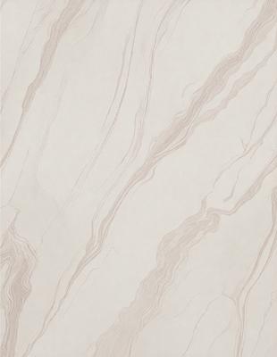 The primary subject of the image is a marble wall with a patterned texture. The setting is a room with a white background. The visual style is a close-up of the marble wall, showcasing its intricate design. The colors and mood of the image are predominantly white, giving it a clean and elegant appearance.