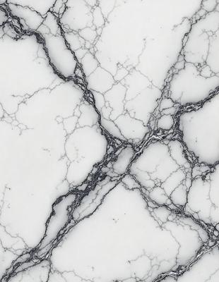 The primary subject of the image is a marble wall with a pattern of black and white veins. The setting is a white marble wall, and the visual style is a close-up of the marble surface. The colors and mood of the image are predominantly black and white, giving it a classic and elegant appearance.