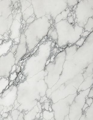 The primary subject of the image is a marble wall with a white and grey color scheme. The setting is a room with a white marble floor, and the visual style is a close-up of the marble wall. The colors and mood of the image are predominantly white and grey, giving it a clean and elegant appearance.
