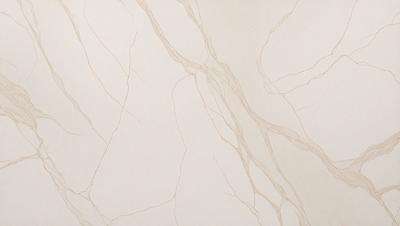 The primary subject of the image is a white marble wall with a pattern of veins. The setting is a room with a white background. The visual style is a photo of the marble wall. The colors and mood are predominantly white, giving the image a clean and elegant appearance.