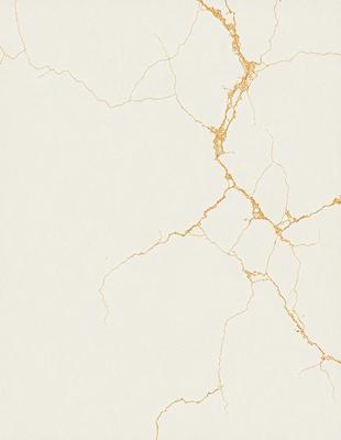 The primary subject of the image is a white wall with a gold-colored texture. The setting is a room with a white background. The visual style is a close-up of the wall, showcasing the gold-colored texture. The colors and mood of the image are predominantly white and gold, creating a warm and elegant atmosphere.