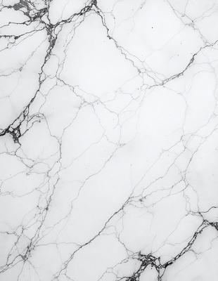 The primary subject of the image is a marble wall with a white background. The visual style is a black and white photo, which gives the image a classic and timeless appearance. The colors and mood are predominantly black and white, creating a sense of elegance and sophistication.