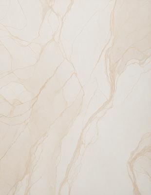 The primary subject of the image is a marble wall with a patterned texture. The setting is a room with a white background. The visual style is a photo of the marble wall. The dominant colors are white and brown, creating a warm and natural atmosphere.