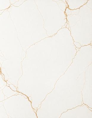 The primary subject of the image is a white marble wall with a gold-like texture. The setting is a room with a white marble floor. The visual style is a close-up of the marble wall, showcasing its unique texture. The colors and mood of the image are predominantly white and gold, creating a luxurious and elegant atmosphere.