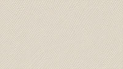 The primary subject of the image is a white wall with a patterned texture. The setting is a room with a plain white background. The visual style is a close-up of the wall, showcasing the intricate pattern. The colors and mood of the image are predominantly white, giving it a clean and minimalist appearance.