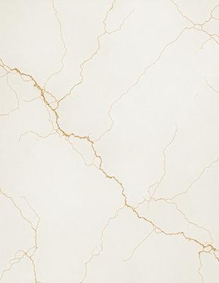 The primary subject of the image is a white marble wall with a gold-like texture. The setting is a room with a white background. The visual style is a close-up of the marble wall, showcasing its unique texture. The colors and mood of the image are predominantly white and gold, creating a sense of elegance and sophistication.