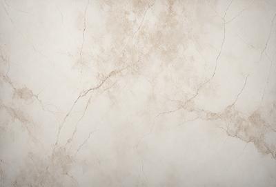 The primary subject of the image is a white wall with a marble texture. The setting is a room with a white background. The visual style is a close-up of the wall, showcasing the marble texture. The colors and mood of the image are predominantly white, giving it a clean and minimalist appearance.