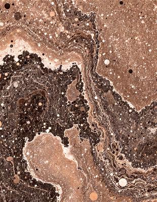 The primary subject of the image is a close-up of a rocky surface with a variety of textures and patterns. The setting is a natural environment, possibly a cave or a rock formation. The visual style appears to be a combination of photo and digital art, as the image captures the intricate details of the rocky surface. The dominant colors in the image are brown and black, giving the scene a natural and earthy atmosphere.