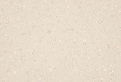 The primary subject of the image is a white wall with a pattern of white dots. The setting is a room with a white surface, and the visual style appears to be a photo. The dominant colors are white, and the overall atmosphere is clean and minimalistic.