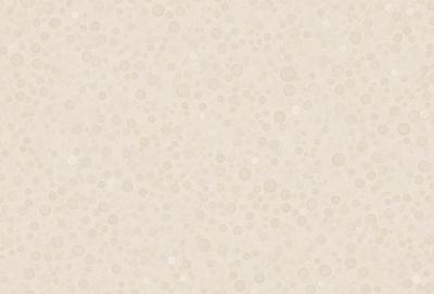 The primary subject of the image is a white wall with a pattern of white dots. The setting is a room with a white wall, and the visual style is a close-up of the wall. The colors and mood of the image are predominantly white, giving it a clean and minimalist appearance.