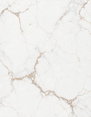 The primary subject of the image is a white marble wall with a gold-colored pattern. The setting is a room with a white marble floor. The visual style is a close-up of the marble wall, showcasing its intricate design. The colors and mood of the image are predominantly white and gold, creating a luxurious and elegant atmosphere.