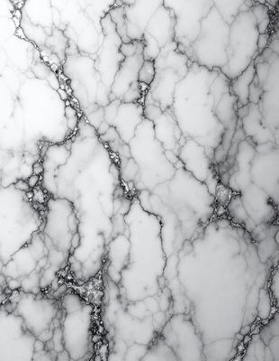 The primary subject of the image is a marble wall with a white and grey color scheme. The setting is a room with a white marble surface, which adds to the overall atmosphere. The visual style of the image is a close-up of the marble wall, showcasing its texture and patterns. The colors and mood of the image are predominantly white and grey, giving it a clean and elegant appearance.