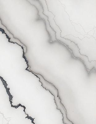 The image features a white marble surface with a pattern of black lines. The marble appears to be cracked, giving it a unique and interesting appearance. The black lines on the marble create a contrasting visual effect, making the marble stand out. The overall atmosphere of the image is elegant and sophisticated, with the marble serving as the primary subject.