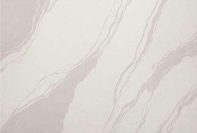 The primary subject of the image is a white marble wall with a pattern of swirls and waves. The setting is a room with a white marble floor, which complements the wall. The visual style is a close-up of the marble wall, showcasing its intricate design. The colors and mood of the image are predominantly white, giving it a clean and elegant appearance.