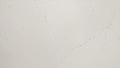 The primary subject of the image is a white wall with a pattern of cracks and lines. The setting is a room with a white background. The visual style is a close-up of the wall, showcasing the cracks and lines. The colors and mood of the image are predominantly white, giving it a clean and minimalist appearance.