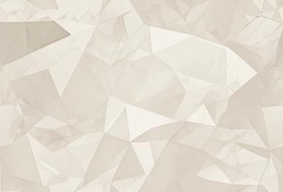The primary subject of the image is a white geometric pattern, which is the main focus of the scene. The setting is a white background, which provides a clean and minimalist appearance. The visual style is a combination of digital art and illustration, creating a unique and intricate design. The dominant colors are white and gray, giving the image a calm and serene atmosphere.