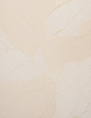 The primary subject of the image is a wall with a marble texture. The setting is a room with a white color scheme. The visual style is a close-up of the marble wall, showcasing its unique texture. The colors and mood of the image are predominantly white, giving it a clean and elegant appearance.