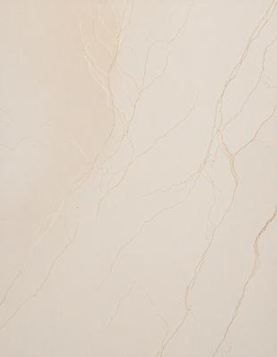 The primary subject of the image is a white marble wall with a pattern of veins. The setting is a room with a white marble wall, and the visual style is a photo. The colors and mood of the image are predominantly white, giving it a clean and elegant appearance.