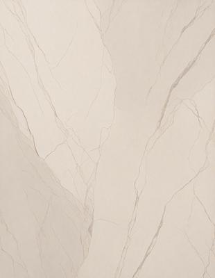 The image features a marble wall with a patterned texture. The wall appears to be made of marble, giving it a luxurious and elegant appearance. The pattern on the wall adds visual interest and depth to the overall design. The colors in the image are predominantly neutral, with the marble providing a natural and timeless look. The combination of the marble wall and the patterned texture creates a sophisticated and stylish atmosphere.
