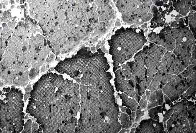 The primary subject of the image is a close-up of a black and white patterned surface, which appears to be a textured wall or a piece of art. The setting is a room with a black and white color scheme. The visual style is a combination of a photo and a digital art or illustration, creating a unique and intriguing appearance. The dominant colors are black and white, with some grays and possibly other colors depending on the specific pattern. The overall atmosphere is one of mystery and intrigue, as the viewer