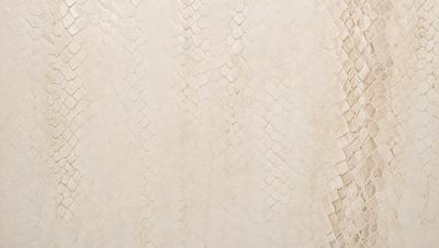 The primary subject of the image is a white wall with a pattern of white and brown snakeskin. The setting is a room with a white background, and the visual style is a close-up of the wall. The colors and mood of the image are predominantly white and brown, creating a clean and natural atmosphere.